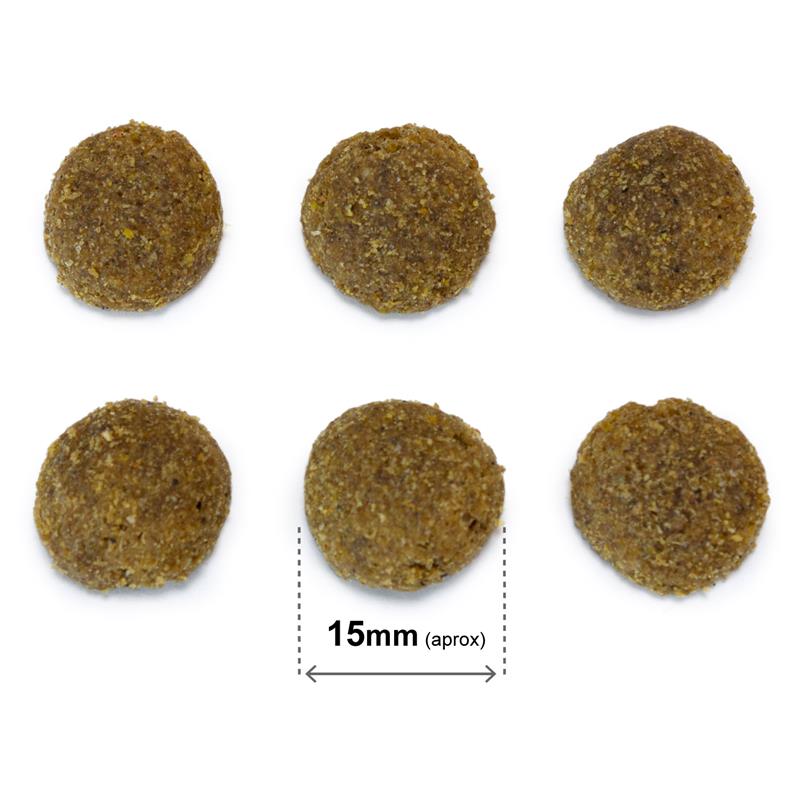 21b529730938201a33e63510c3c6850c